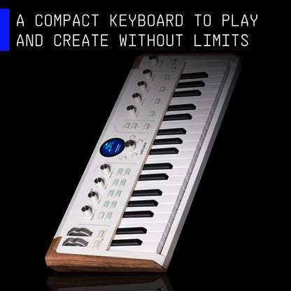 Arturia AstroLab 37-key slim MIDI keyboard, velocity sensitive, aftertouch.